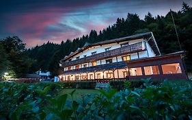 Complex Turistic 7 Crai - Cabana Craiul Crailor Bed & Breakfast